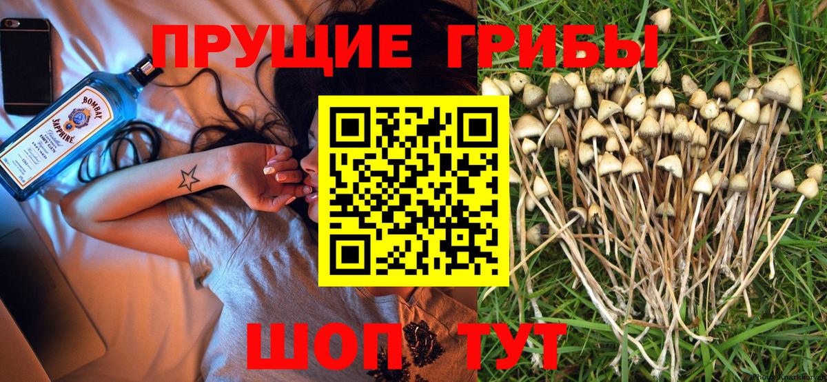 Свободный  Галлюциногенные грибы Magic Shrooms  Вход с VPN 